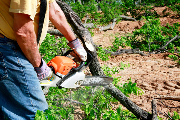 Best Soil Testing and Treatment  in Craig, CO